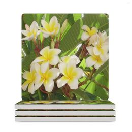 Table Mats White And Yellow Frangipani Flowers With Leaves In Background Ceramic Coasters (Square) Black Eat