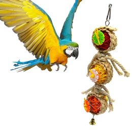 Parrot Shredder Toy Dry Anti-biting Parrot Cage Foraging Toy Chewing Toy with Bell Parrots Toys And Bird Accessories For Pet Toy