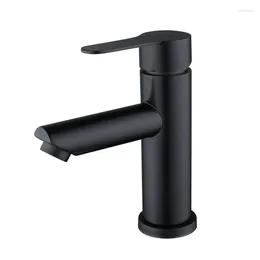 Bathroom Sink Faucets 304 Stainless Steel Baking Paint Black Basin Faucet And Cold Countertop Wash