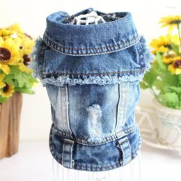 Dog Apparel 2024 Spring And Summer Style Hole Beard Denim Vest Pet Clothes Teddy Costume Puppy