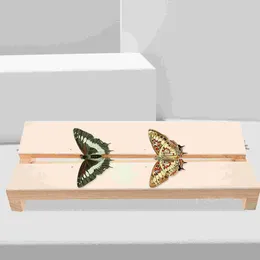 Frames Butterfly Wings Board Display Specimen Tool Adjustable Insects Spreading Butterflies Experimental