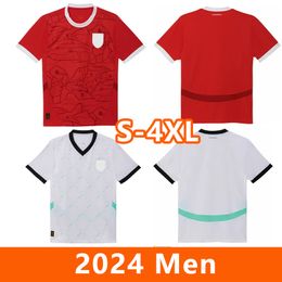 Austria Soccer Jerseys 2024 Home and Away Jersey Laimer Schlager Alaba Danso Sabitzer Lienhart Player Version