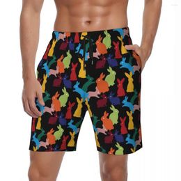 Men's Shorts Colourful Board Summer Animal Print Fashion Short Pants Men Running Breathable Design Swimming Trunks