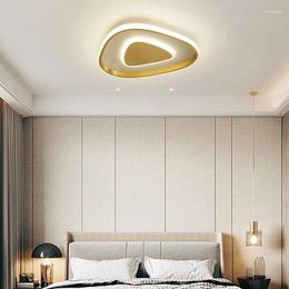 Ceiling Lights Triangle LED Lamp Circular Rectangular Modern And Simple Balcony Bedroom Room Living Master