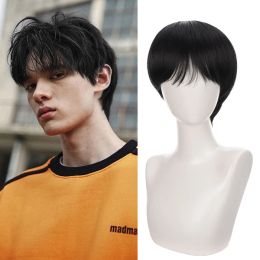 Wigs AILIADE Synthetic Black Men's Wig Short Straight Wigs for Woman Man Hair Realistic Natural Brown for Cosplay Anime Party Daily