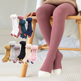 08T Kid Girl Tights Baby Stockings Autumn Winter Warm Child Pantyhose Cotton Pants Candy Color Cute Girls trousers 240322
