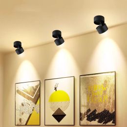 Double-Head Illuminant Spotlights C0b360 Degrees Adjustable Angle Living Room Commercial Three-Head Store Aisle Ceiling Folding