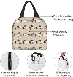 Dachshunds Insulated Tote Lunch Bag for Women & Men, Reusable Portable Thermal Cooler Box for Work Picnic Travel