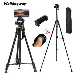 Walkingway Photography Light Stand Portable Tripod with 1/4 Screw for Softbox LED Ring Light Phone Camera Laser Level Projector