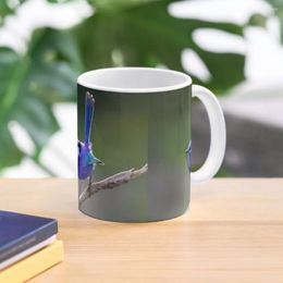 Mugs Bruce The Blue Wren In Afternoon Light Coffee Mug Cup Travel Glass Cups