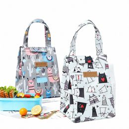 lunch Bag Fi Cute Multicolor Cooler Bags Women Waterproof Hand Pack Thermal Breakfast Box Portable Picnic Travel Food Bag s02L#