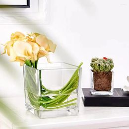 Vases Vase Glass Containers Desk Flower For Office Flowers Hydroponic Cube Creative Small