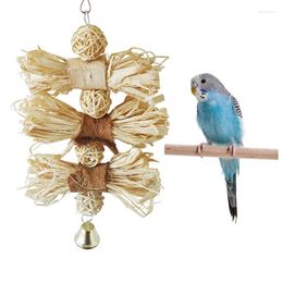 Other Bird Supplies Parakeet Chewing Toy Parrot Bites Swing Ball Loofah Vine