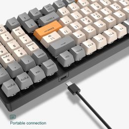 RGB Mechanical Keyboard 100 Keys Gaming Keyboard 9 Lighting Effects Hotswap Keyboard USB Type C Wired Keypad for PC Desktop