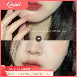 Lip Gloss Black Mirror Water Colour Care Moisturiser Natural Lipstick Transparent Glass Oil Silky Cosmetic Lips