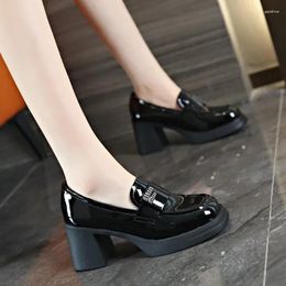 Dress Shoes Fashion Slip-on Loafers For Women 2024 Spring Square Toes Ankle Strap Wedding Woman Chunky Platform Mary Jane