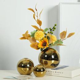 Vases Golden Art Ceramics Vase Electroplating Circle Hydroponic Sphere Potted Home Decoration Living Room Bedroom Bookcase Decor