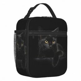 black Cat Insulated Lunch Bags for Women Cute Pet Kitty Animal Lover Portable Thermal Cooler Food Lunch Box Work School Travel w8cr#