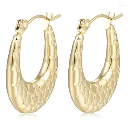 Hoop Earrings Classic Design Grid Pattern Earring For Women Stainless Steel Waterproof Jewelry Golden Scale Gift