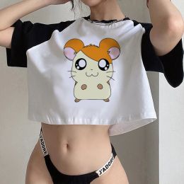 hamtaro