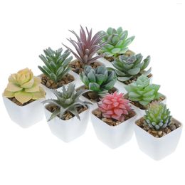 Decorative Flowers 10 Pcs Succulent Artificial Plants Miniature Cactus Figurines Models Bonsai Potted Micro Landscape Plastic Succulents