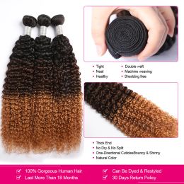 1B/4/27 Coloured Kinky Curly Human Hair Bundles 10A Hair Curly Weave 1/3/4 Bundles Maxine Afro Kinky Curly Human Hair Extensions