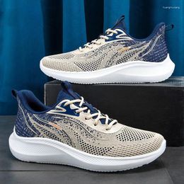 Casual Shoes 2024 Men's Spring And Autumn Comfortable Korean Fashion Student Running Sports