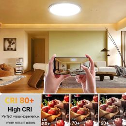 24W LED Ceiling Lights RGB&CCT Flush Mount Ceiling Lamp Remote Control Dimmable Ultra-Thin Downlight Ultra-Thin Panel Decoration