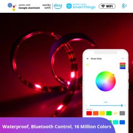 Control Sonoff L2 LED Light Strip waterproof 5050 RGB cuttable led strip amplifier/adapter/remote control work with alexa google Alice