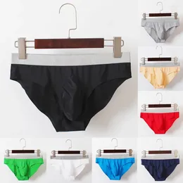 Underpants Men Seamless Underwear 2024 Briefs Man Cueca Masculina U Pouch Male Panties Gay Ropa Pants