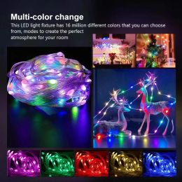 Led String Lights RGB Infrared Bluetooth Controller Christmas Tree Light Home Holiday Outdoor Decorative New Year Garland Lamp