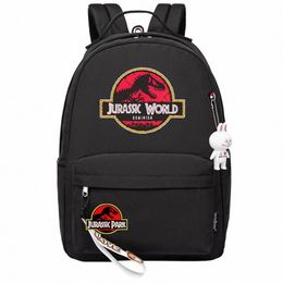 kawaii Dinosaur Jurassic World Park Boys Girls Kids School Book Bags Women Bagpack Teenagers Canvas Laptop Travel Backpack d2HU#