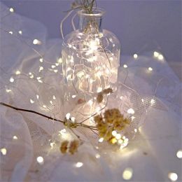 2M 20LED Battery Operated Fairy Lights Mini Copper Wire Firefly String Lights for Indoor Outdoor Wedding