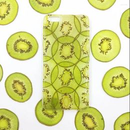 Decorative Flowers 5pcs Dried Pressed Exopy Kiwi Fruit Slices Plant Herbarium For Jewelry Po Frame Phone Case Craft DIY Making Accessories