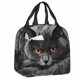 british Shorthair Cat Lunch Box Warm Cooler Thermal Food Insulated Lunch Bag for Women School Picnic Portable Tote Ctainer n1QR#