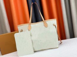 High Quality Dust Bag Designer Bags Handbag Purses Woman Fashion Clutch Purse Chain Womens Designing Crossbody Shoulder Bag #66668888