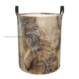 Laundry Bags Dirty Basket Meerkat Cute Folding Clothing Storage Bucket Home Waterproof Organizer