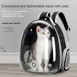 Cat Carriers Large Space Breathable Shoulder Pet Bag Travel Portable Hole Sun Protection