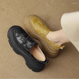 Casual Shoes 2024 Autumn And Winter British Retro Thick Soles Small Leather With Square Head Heels Women Single Two