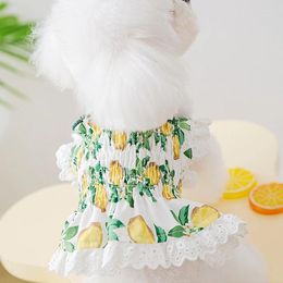 Dog Apparel Dress Summer Fashion Fruit Costume Puppy 2024 Clothes Lace Vest Suspender Skirt Chihuahua Bichon