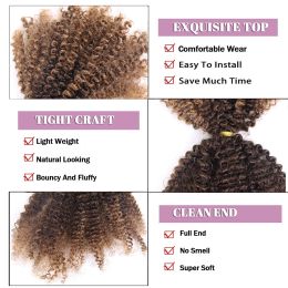 50g Ombre Honey Blonde Kinky Curly Locks Human Hair Extensions For Braiding Hair No Weft Double Drawn Peruvian Crochet Bulk Hair