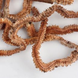 1-10Pack Lifelike Dry Lugworm Sandworms Artificial Sea Worms Soft Fishing Lures Soft Artificial Bait Lifelike Fishy Smell Lures