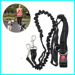 Dog Collars Belt Lead Bungee Walking Harness Leash Dogs Running Waist Prime Jogging Fpr Pet Hands Free Outdoor