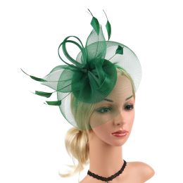 Pillbox Hats Tea Party Vintage Fascinators for Women with Feather Mesh Veil Headband Bridal Wedding Tea Party Tiara