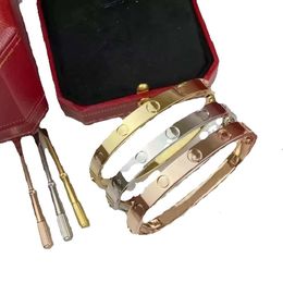 Nagel-Diamant-Armbänder, Designer-Armreifen für Herren, Edelstahl-Armband, Pulseras, überzogenes Gold, Sier-Rose-Schmuck