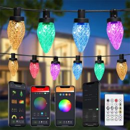 Bluetooth App Controlled C9 Strawberry Fairy String Lights 25 LED Smart Strawberry Christmas Light Outdoor for Patio Party Decor