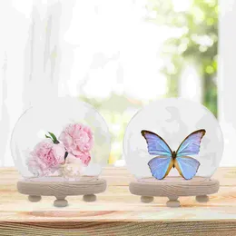 Vases Spherical Glass Cover Handicraft Preserved Flower Flowers Model Display Borosilicate Accessory