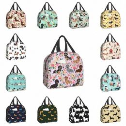 dachshund Frs Insulated Lunch Bag Picnic Travel Wiener Sausage Dog Portable Thermal Cooler Bento Box Kids School Lunch Bags y8ym#