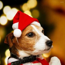 Dog Apparel Santa Hat Festive Pet Hats Adorable Comfortable Anti-fall Christmas Costumes For Cats Dogs Pets