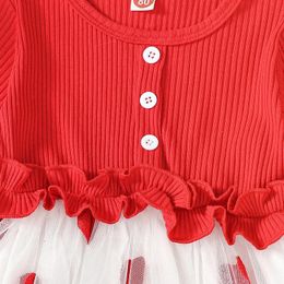 04Y Baby Girls Casual Dress Valentine s Day Long Sleeve Ruffle Heart Print Tulle Tutu Mesh Dresses Kids Clothes 240326